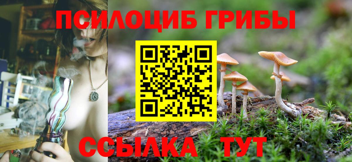 Псилоцибиновые грибы MAGIC MUSHROOMS  Псилоцибиновые грибы ЛСД  Дмитров  Вход с VPN 